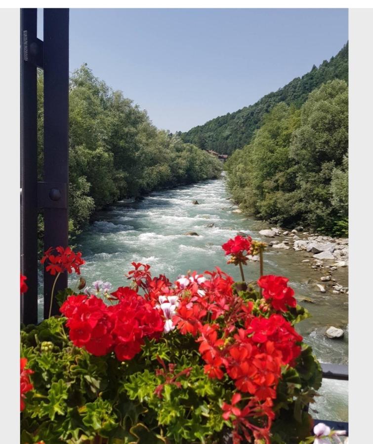 Marilleva 1400 Tra Sport E Natura Экстерьер фото